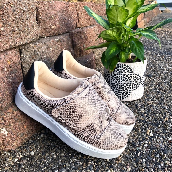 New! Snake Print Platform Sneaker with Velcro - Picture 1 of 10